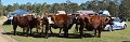 Pimpama_Pan03